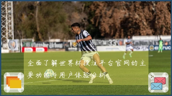 全面了解世界杯投注平台官网的主要功能与用户体验分析