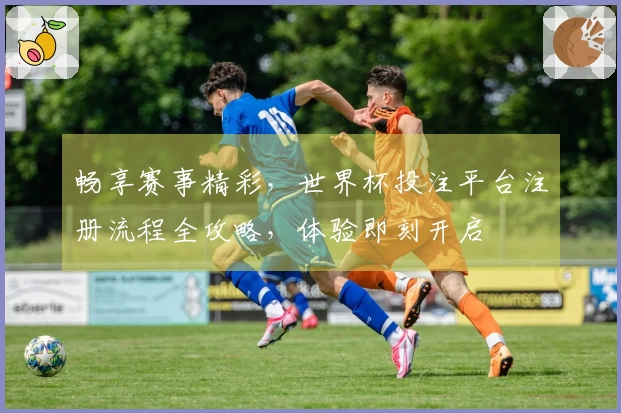 畅享赛事精彩，世界杯投注平台注册流程全攻略，体验即刻开启