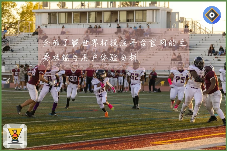 全面了解世界杯投注平台官网的主要功能与用户体验分析