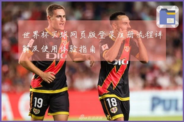 世界杯买球网页版登录注册流程详解及使用体验指南