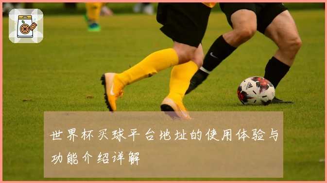 世界杯买球平台地址的使用体验与功能介绍详解