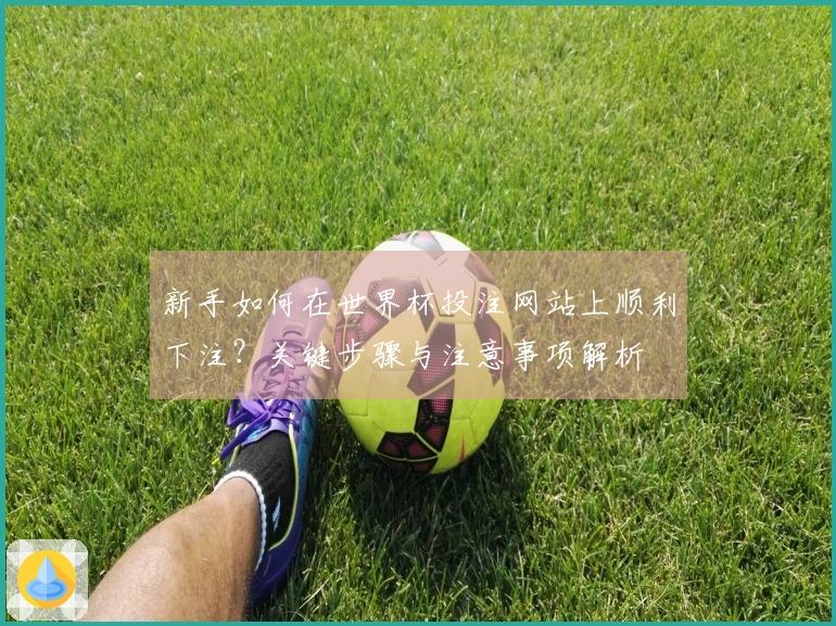 新手如何在世界杯投注网站上顺利下注？关键步骤与注意事项解析