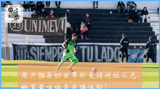 用户推荐的世界杯竞猜地址汇总，畅享最佳体育直播体验！