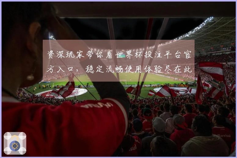 资深玩家带你看世界杯投注平台官方入口，稳定流畅使用体验尽在此。