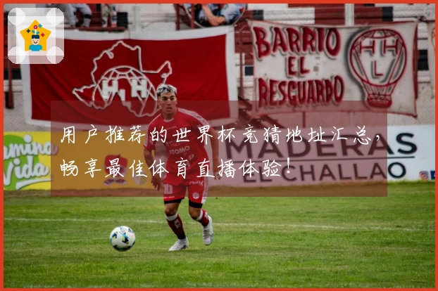 用户推荐的世界杯竞猜地址汇总，畅享最佳体育直播体验！