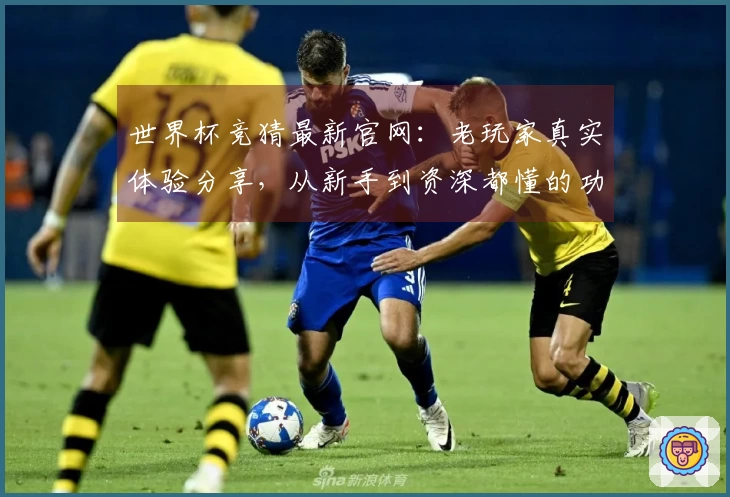 世界杯竞猜最新官网：老玩家真实体验分享，从新手到资深都懂的功能指引