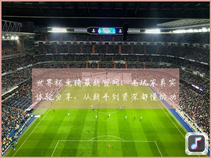 世界杯竞猜最新官网：老玩家真实体验分享，从新手到资深都懂的功能指引